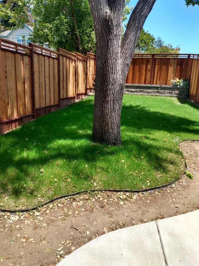 picture of a newly installed landscaping job